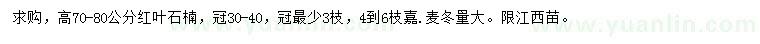 求购高70-80公分红叶石楠、麦冬