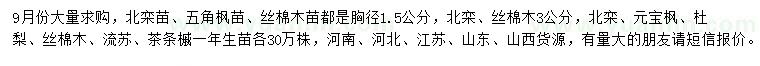 求购北栾、五角枫、丝棉木等