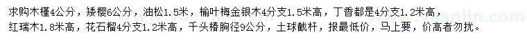 求购木槿、矮樱、油松等