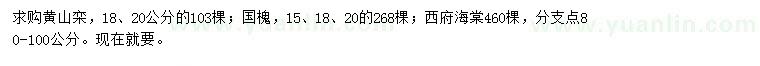 求购黄山栾、国槐、西府海棠