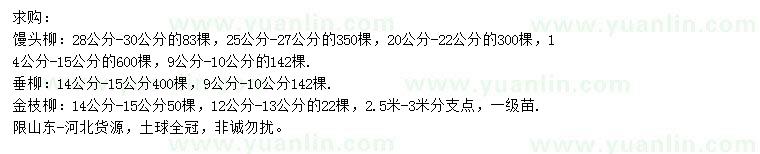 求购馒头柳、金枝柳、垂柳