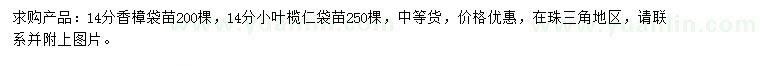 求购14公分香樟、小叶榄仁