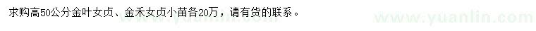 求购高50公分金叶女贞、金禾女贞小苗