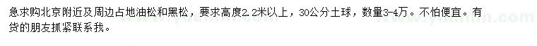 求购高度2.2米以上占地油松、黑松