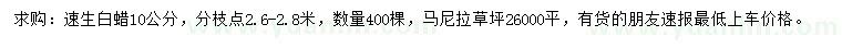 求购10公分速生白蜡、马尼拉草坪