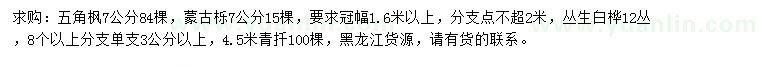 求购五角枫、蒙古栎、白桦等