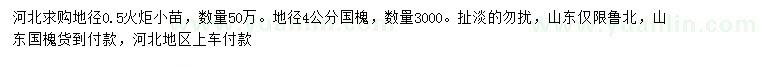 求购地径0.5公分火炬、4公分国槐