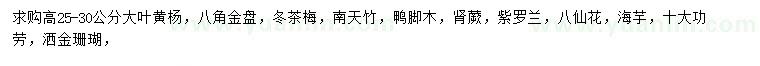 求购大叶黄杨、八角金盘、冬茶梅等小苗