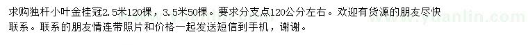 求购冠幅2.5、3.5米小叶金桂