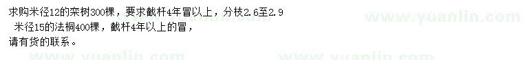 求购米径12公分栾树、米径15公分法桐