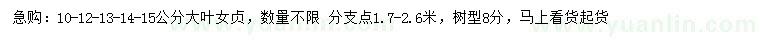 求购10、12、13、14、15公分大叶女贞