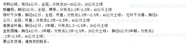 求购山桃、新疆杨、千头椿等