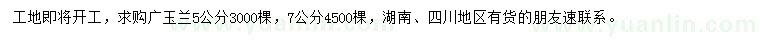 求购5、7公分广玉兰