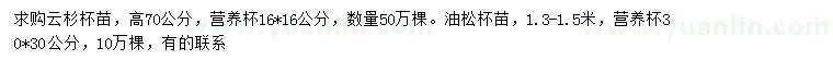 求购高70公分云杉、1.3-1.5米油松