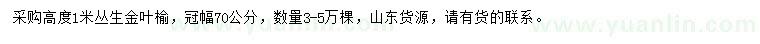 求购高度1米丛生金叶榆