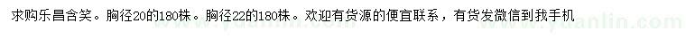 求购胸径20、22公分乐昌含笑