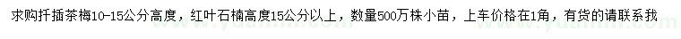 求购高10-15公分扦插茶梅、15公分红叶石楠