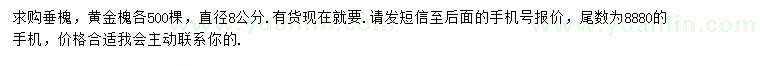 求购8公分垂槐、黄金槐