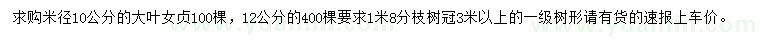 求购米径10、12公分大叶女贞