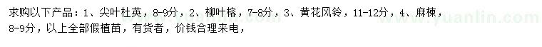 求购尖叶杜英、柳叶榕、黄花风铃木等