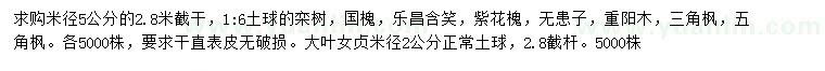 求购栾树、国槐、乐昌含笑等