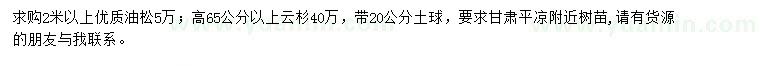 求购2米以上油松、高65公分以上云杉