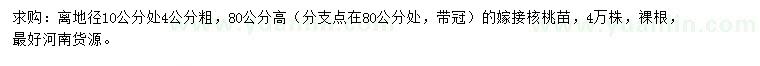 求购离地径10公分处4公分粗核桃苗