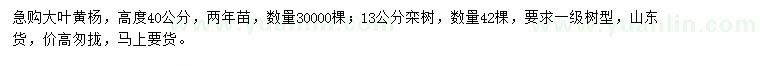 求购高40公分大叶黄杨、13公分栾树