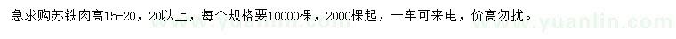 求购高15-20公分苏铁