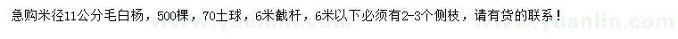 求购米径11公分毛白杨