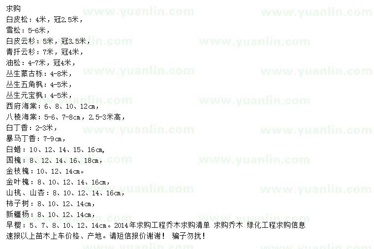 求购白皮松、雪松、白皮云杉等