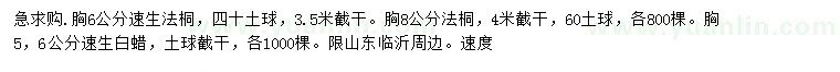 求购胸径6、8公分法桐、胸径5、6公分速生白蜡