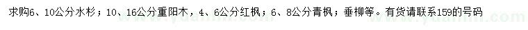 求购水杉、重阳木、红枫等