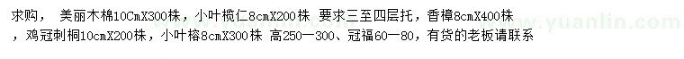 求购美丽木棉、小叶榄仁、香樟等