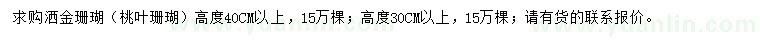 求购高30、40公分以上洒金珊瑚（桃叶珊瑚）