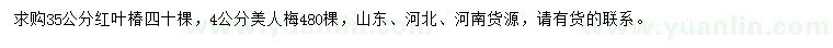 求购35公分红叶椿、4公分美人梅