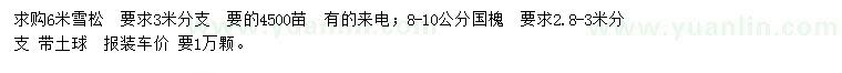 求购6米雪松、8-10公分国槐