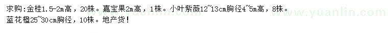 求购金桂、小叶紫薇、蓝花楹