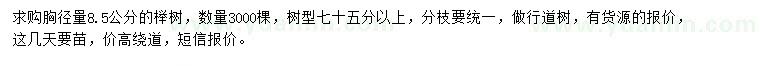 求购胸径8.5公分榉树