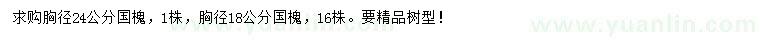 求购胸径18、24公分国槐