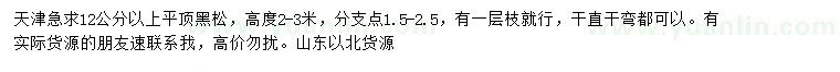 求购12公分以上平顶黑松