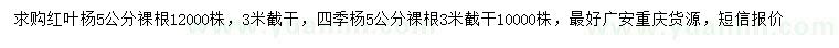 求购5公分红叶杨、四季杨