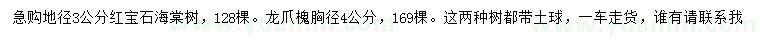 求购地径3公分红宝石海棠、胸径4公分龙爪槐