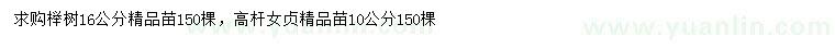 求购16公分榉树、10公分高杆女贞