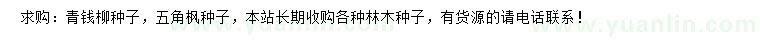 求购青钱柳种子、五角枫种子