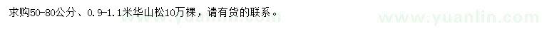 求购50-80公分、0.9-1.1米华山松