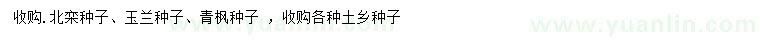 求购北栾种子、玉兰种子、青枫种子