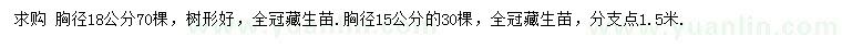 求购胸径15、18公分大叶女贞