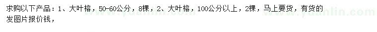 求购50-60、100公分以上大叶榕