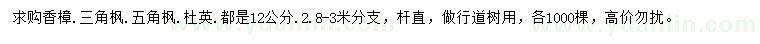 求购香樟、三角枫、五角枫等